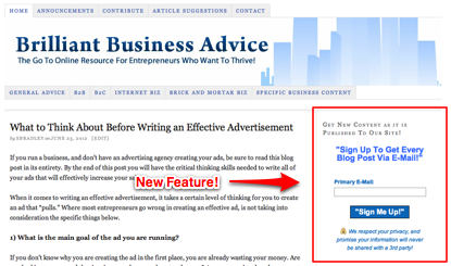 Brilliant Business Advice E-Mail Sign Up Form